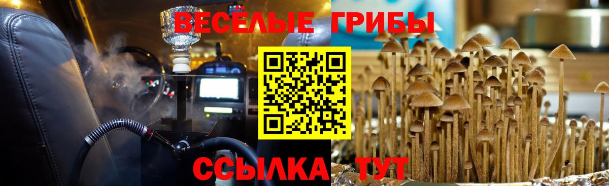 Alpha-PVP СК   Лангепас  Кокаин  Меф МЯУ МЯУ   МЕТАМФЕТАМИН  АМФ   ГАШ  ЭКСТАЗИ  Каннабис  Вход с VPN  НБОМе 